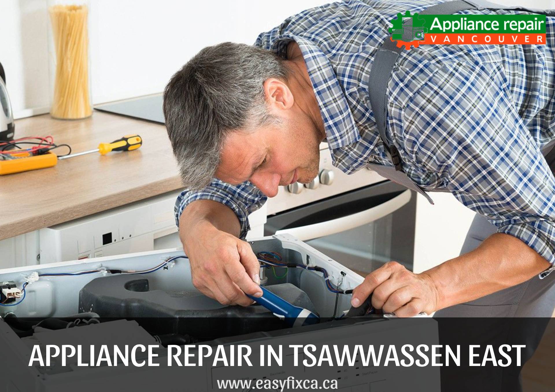 appliance repair Tsawwassen east