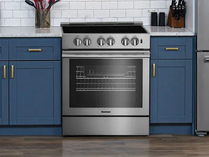 Blomberg Ovens and Stoves Repair